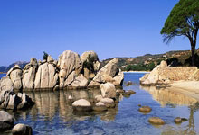 王宝强回归剧圈：演一个围棋老师 让观众重新认识我.